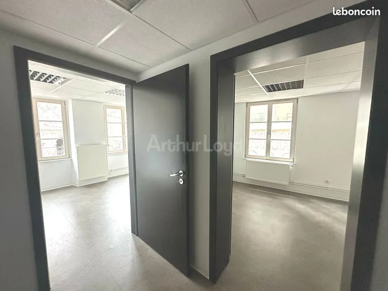 Local professionnel – 59 m² – Strasbourg